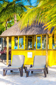 Parrot Bar