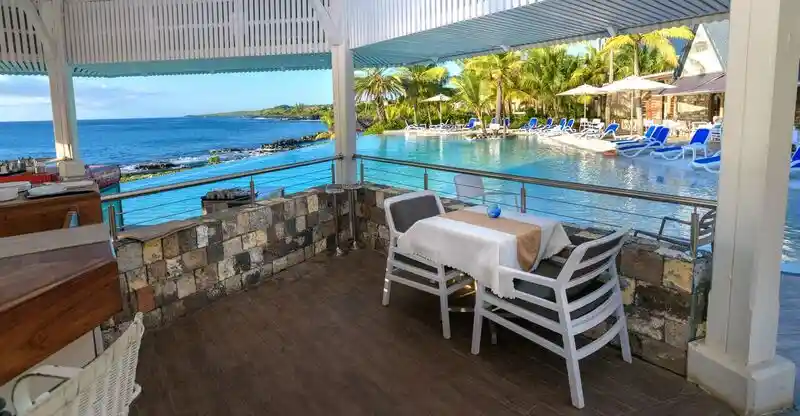 Dolphin Bar